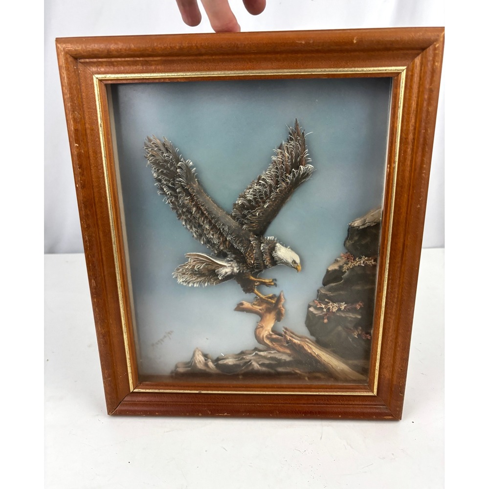 Vintage Bald Eagle Feather Art Shadow Box Framed Cabin Lodge Wall Decor